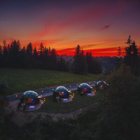 Peak Glamp & Jacuzzi Hotel Zakopane Buitenkant foto